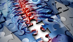 „Reversal Cells“ könnten Osteoporose erklären