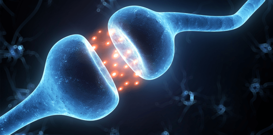 Forscher entwickeln Schmerzmittel ohne Nebenwirkungen