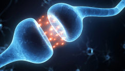 Forscher entwickeln Schmerzmittel ohne Nebenwirkungen