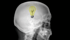 Als Röntgen vor 120 Jahren zufällig Geschichte schrieb