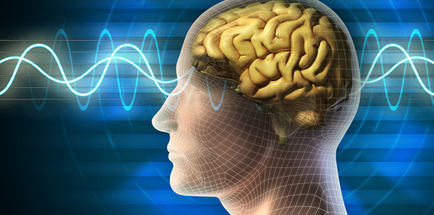 Psychologie-Studie: Vertrautheitsgefühl beeinflusst unsere Entscheidungen