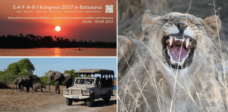 Zahnheilkunde goes S-A-F-A-R-I