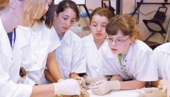 "Science dabei!" an der MedUni Wien