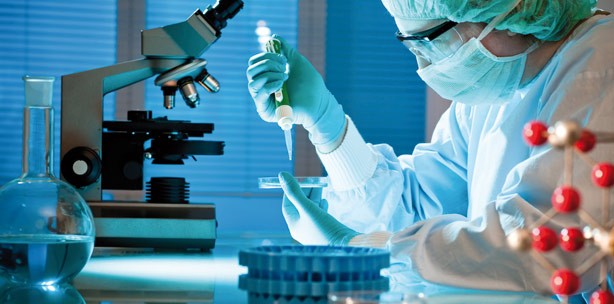 Neues Bakterium Streptococcus tigurinus erforscht