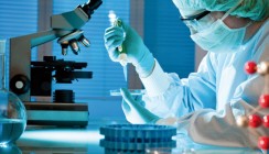Neues Bakterium Streptococcus tigurinus erforscht