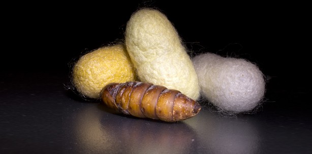 Knochenbrüche mit Seide fixieren