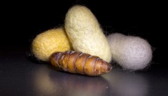 Knochenbrüche mit Seide fixieren