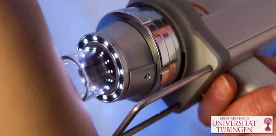 Neuer SFB Transregio erforscht Schutzmechanismen der Haut