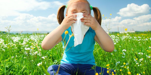 Forscher einen Schritt weiter im Kampf gegen Allergien