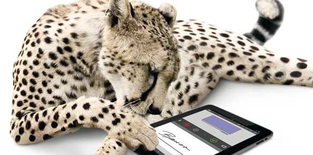 CHARLY von solutio: Anamnesebögen jetzt digital signieren