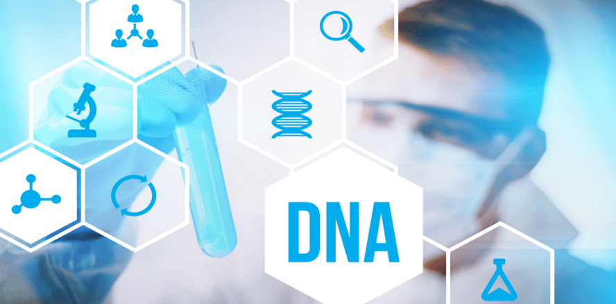 Wund(er)behandlung mit Spucke?