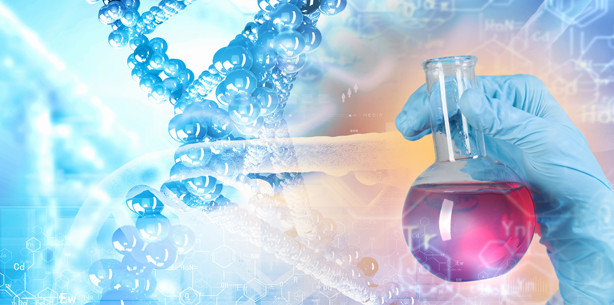 Forscher züchten intakte Speicheldrüse