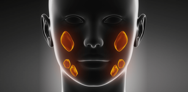 Speichelsteine: Trend zu minimalinvasiver Behandlungsmethode