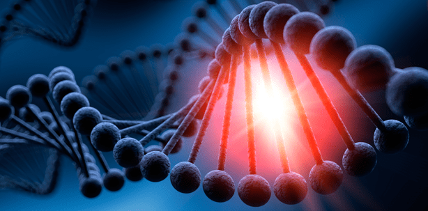 Zahnwurzel: Zellen kehren zurück zum Urzustand