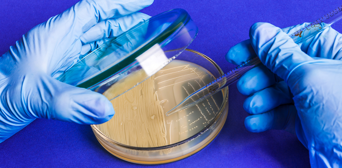 Streptococcus mutans als Ursache für systemische Erkrankung