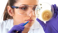 Studie: Magenbakterium könnte vor Asthma schützen
