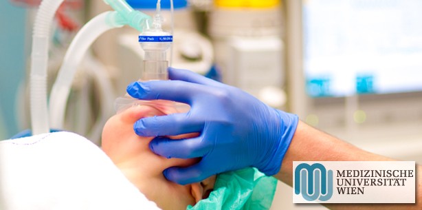 Süßholz lindert Beschwerden nach Intubation