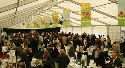 Summer Sale 2011 – „Es bleibt alles anders.“