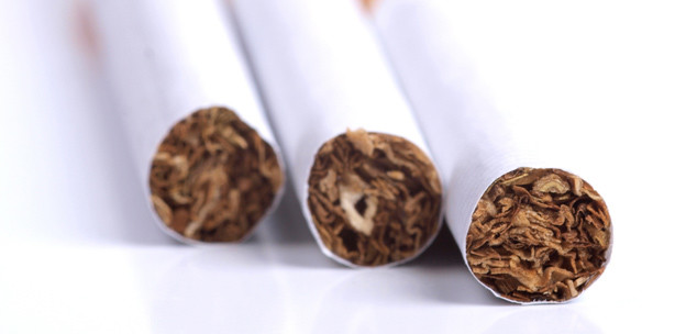 Forscher produzieren Aids-Antikörper aus Tabak