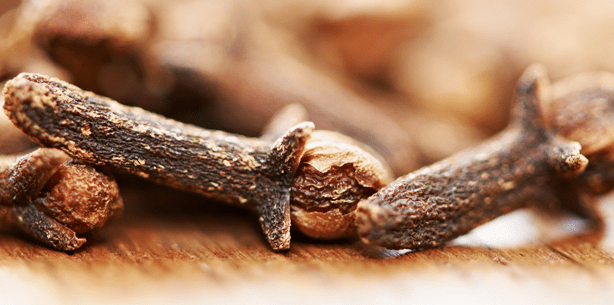 Mit Nelke und Salbei: Welche Hausmittel bei Zahnschmerzen helfen