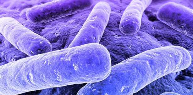 Resistente Tuberkulosebakterien auf dem Vormarsch