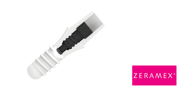 Fortbilden mit Dentalpoint: Zirkondioxid-Implantate im Alltag