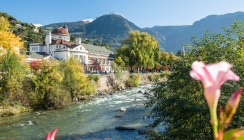 Tradition verbindet: Internationales Frühjahrsseminar in Meran