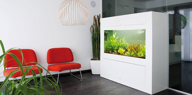 Gut geplant zur Traumpraxis