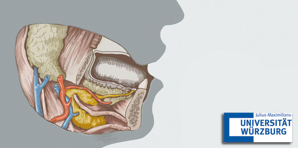 Kopf-Hals-Tumore: Weltpremiere für neue OP-Technik