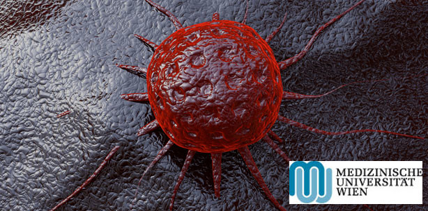 Tumordiagnostik: Neue Methode ermöglicht gezieltere Behandlung