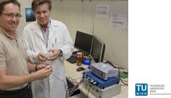 Elektrosignale gegen den Schmerz