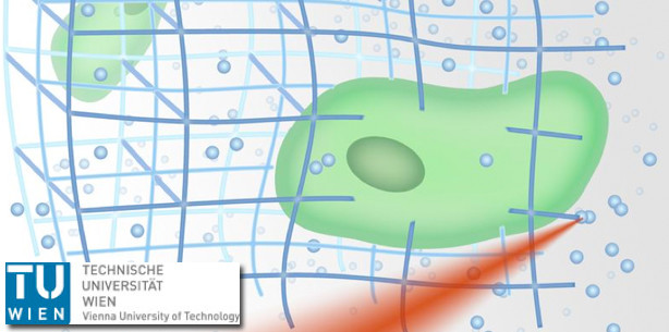 Lasertechnik ermöglicht 3D-Zellforschung