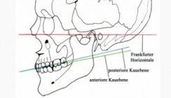 Funktionsdiagnostik und -therapie