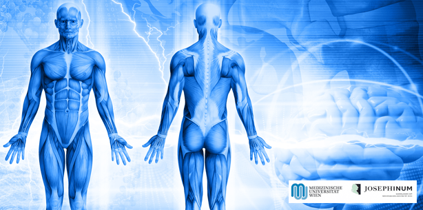 650 Jahre Medizingeschichte: Woche der offenen Türe im Josephinum