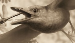 Bissiger Urvogel knackte selbst harte Schalen