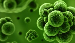 Neuer Mechanismus zur Abwehr von Viren und Krebs entdeckt
