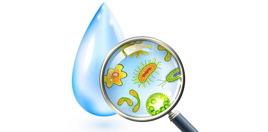 Verunreinigtes Wasser kostet Kindern Zähne und Kieferknochen