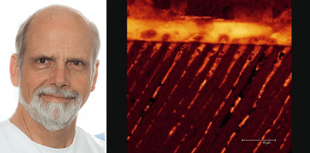 Universaladhäsive: DTSC Webinar klärt auf