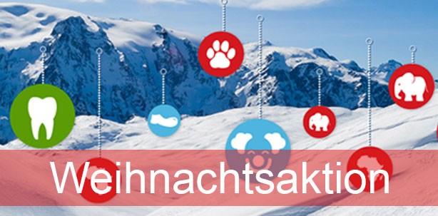 Praxisdienst hilft: Weihnachtskugel aufhängen und Freude schenken