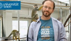 Forscher geben Einblicke in die Evolution der Sprache