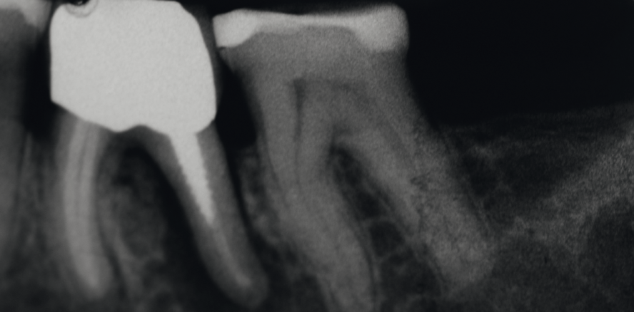 Die Qualität entscheidet über den Erfolg