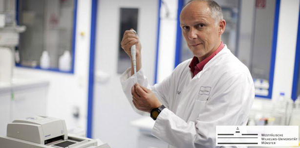 Parodontitis wird nicht von einzelnen Bakterienarten ausgelöst