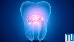 Neues Röntgenverfahren: Details aus dem Inneren eines Zahns