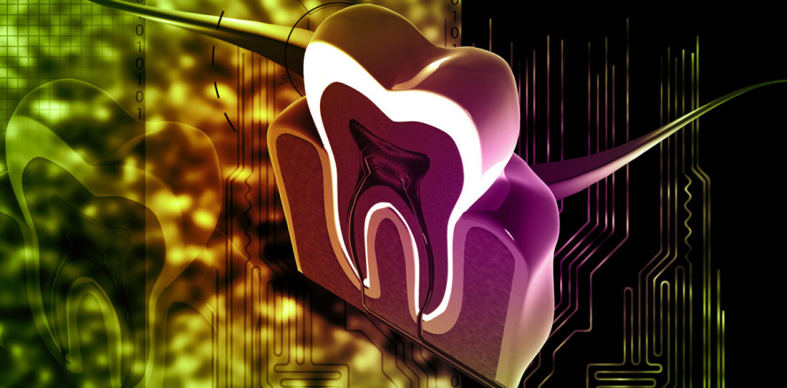 Milchzähne – die biologischen Festplatten unseres Körpers