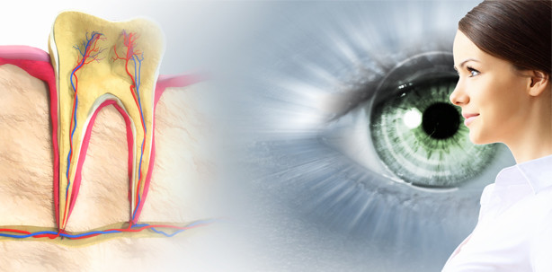 Prothese aus Zahnwurzel ermöglicht Blinden das Sehen