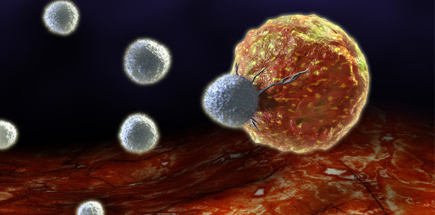 Forscher spüren wandernde Krebszellen auf