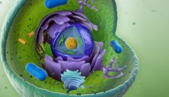 ETH Zürich: Biologische Computer zerstören Krebs