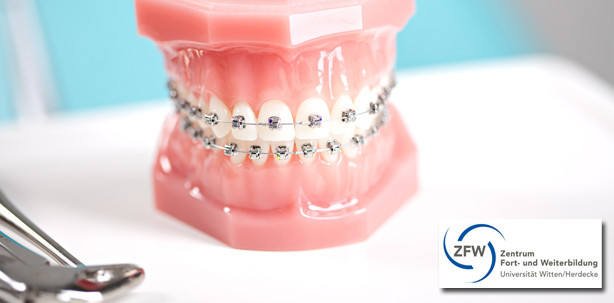 Von A–Z: Uni W/H informiert über orthodontische Drähte