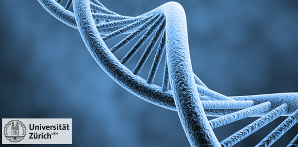 Reparaturmechanismus der DNA entschlüsselt