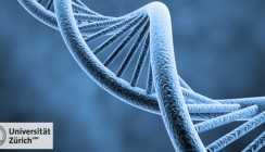 Reparaturmechanismus der DNA entschlüsselt